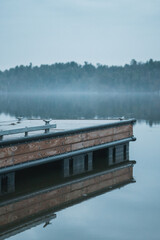 Foggy Pond