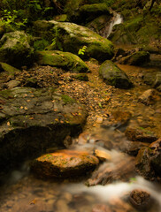 Flowing Stream in Deep Mountain Ravine