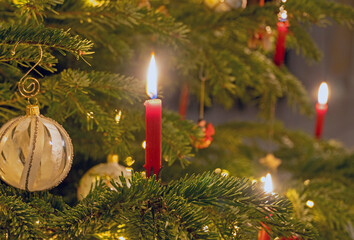 Brennende Kerze am Weihnachtsbaum