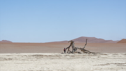 Une personne marchant dans le désert du Namibe, un arbre mort et des dunes à l'horizon, Afrique