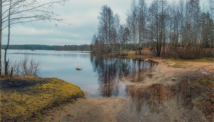 Fototapeta na wymiar shore of a forest copper lake in northern Europe in late autumn