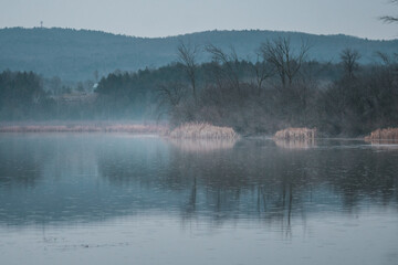 Fototapeta premium Foggy Pond