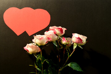 Fototapeta premium In the center of the greeting card, on a dark background, for Valentine's Day there are several white roses, and in the upper left corner of the sheet are two connected red heart symbols.