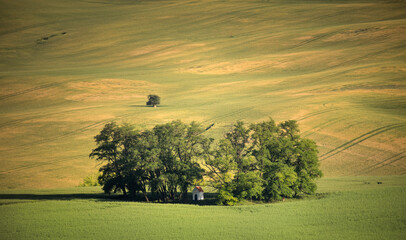 sunset in the field © Sieku Photo