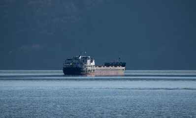 Fototapeta premium Old industrial ship, transporter of goods on the Danube