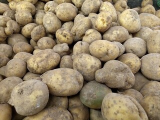 A lot of organic raw potatoes at the greengrocer, food economy and vegetable prices in the market, staple food potatoes