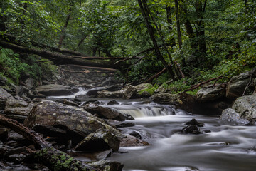 Fototapeta premium waterfall in the forest