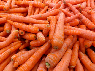 A group of organic orange carrots at the supermarket, Food economy and vegetable prices in the market, staple food carrots