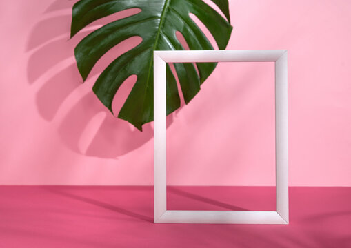 Minimalistic Pink Layout With White Frame Standing And Monstera Leaf.