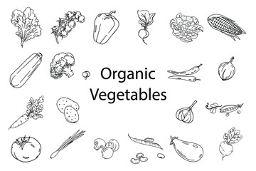 linear set of vegetables, hand-drawn, black and white doodle, sketch, vector illustration
