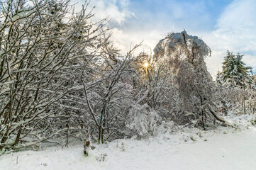 Beskydy v zimě, Pustevny, Radohošť
