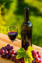 wine bottle and grapes