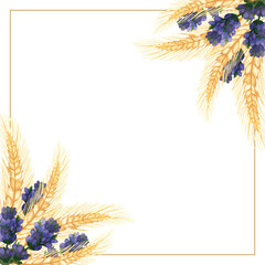 Watercolor hand painted nature squared border frame with purple lavender flower branches and golden rye ears bouquet on the white background for invite and greeting card with space for text