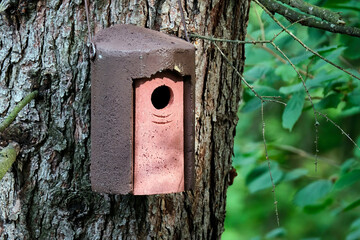 Nisthöhle für Stare, Kleiber, Spechte und andere.