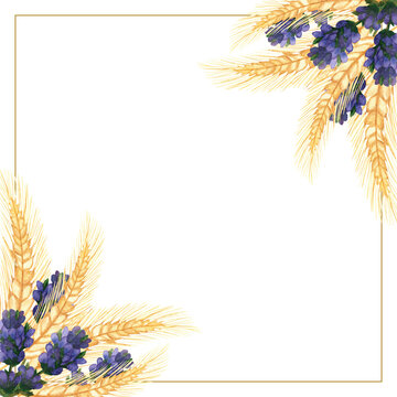 Watercolor hand painted nature squared border frame with purple lavender flower branches and golden rye ears bouquet on the white background for invite and greeting card with space for text