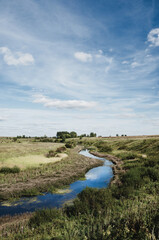 Sunny view of blue river and green meadows with trees on a background.