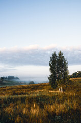 Summer foggy scene with birch trees and hills during calm morning.