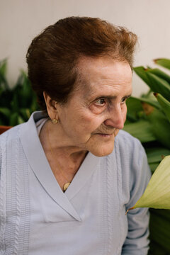 Profile Portrait Of An Older Woman Surrounded By Plants. Gardener Grandmother