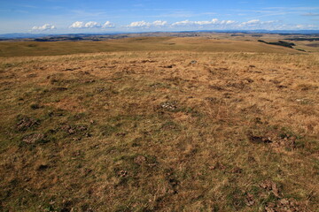On a beautiful August afternoon, a panoramic view of Aubrac pastures (Lozère, France)