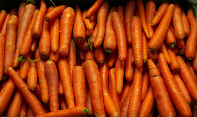 Basket full of delicious and healthy carrots