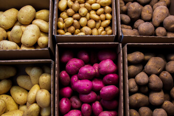 Boxes full of different types of potatoes