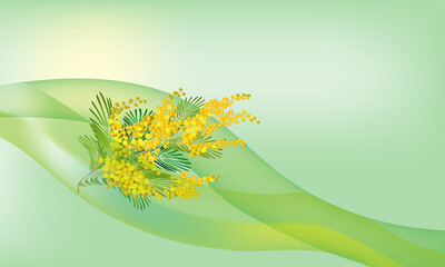 Postcard for the International Women's Day. A branch of yellow mimosa and transparent abstract stripes on a green background.