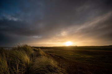 Sunset in the Field and Dunes