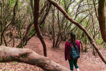 Naklejka na ściany i meble A woman walking through the forest