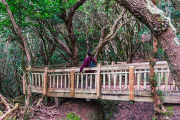 A woman walking through the forest