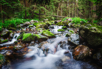 waterfall in the forest © Sieku Photo