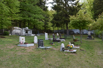 Cemetery