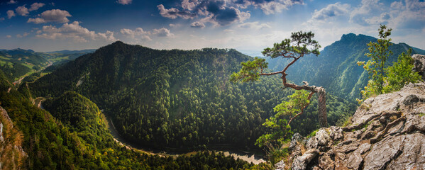 panorama of the mountains