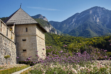 flower castle