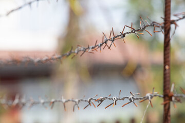 Barbed wire with blurred background. Fence with space.