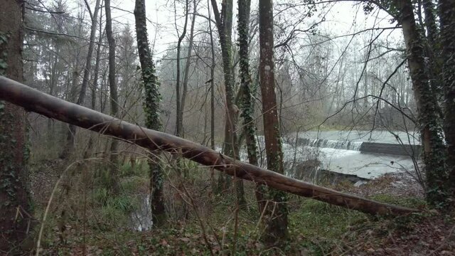 una cascada en medio del bosque 