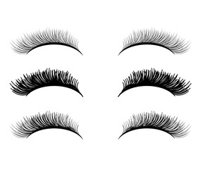 Long eyelashes on a white background. Vector illustration.