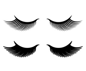 Long eyelashes on a white background. Symbol. Vector illustration.