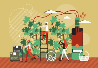 Wine production process concept vector illustration. Winery factory, people harvest grape and make wine. Winemaking technology