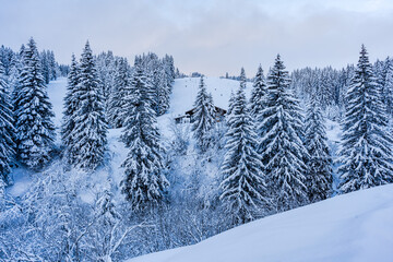 Fototapeta na wymiar Skigebiet Grasgehren mit Tiefschnee