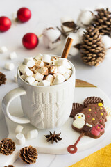 Christmas Hot Chocolate with Marshmallow