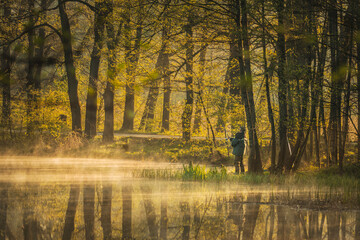 autumn in the park © Sieku Photo