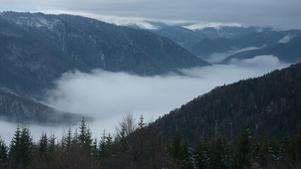 Clouded winter scenery. A gray fog covers the low lands forests and valleys. The snow covers the high altitude crests of the mountain peaks. Parang, Carpathia, Romania.