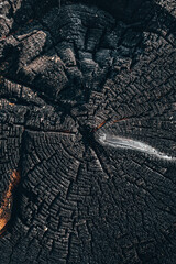 Burnt cut of a tree trunk - annual rings and lines - deep wood grain