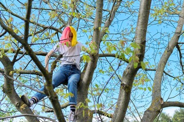 Teenager girl, hipster sitting high on a tree. Spring, nature sky background