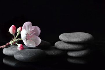Fototapeta na wymiar Spa stones and pink flowers on black background.