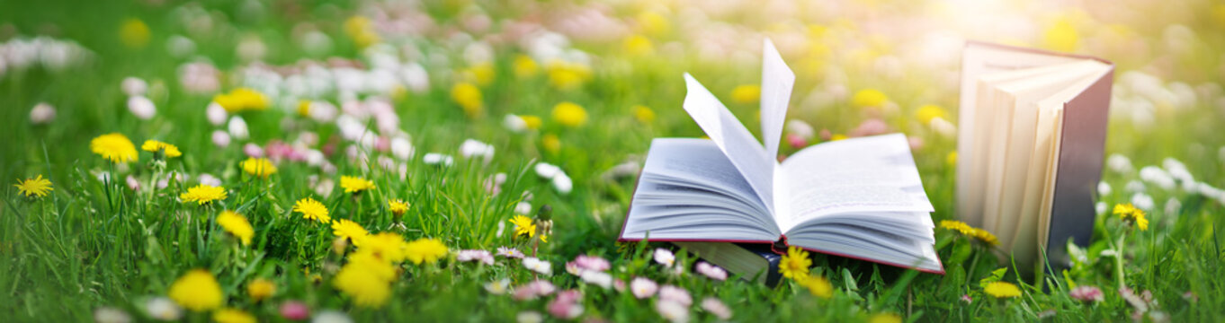 Open book in the grass on the field on sunny day