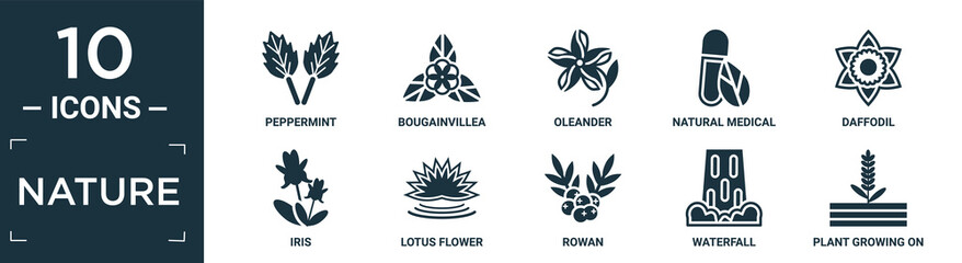 filled nature icon set. contain flat peppermint, bougainvillea, oleander, natural medical pills, daffodil, iris, lotus flower, rowan, waterfall, plant growing on book icons in editable format..