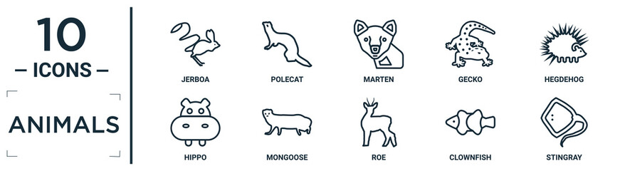 animals linear icon set. includes thin line jerboa, marten, hegdehog, mongoose, clownfish, stingray, hippo icons for report, presentation, diagram, web design