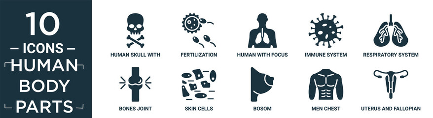 filled human body parts icon set. contain flat human skull with crossed bones, fertilization, human with focus on the lungs, immune system, respiratory system, bones joint, skin cells, bosom, men.