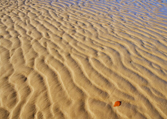 549-64 Sand Patterns at Sand Beach, Pictured Rocks Nat'l Lakeshore